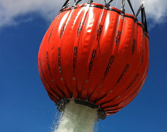 bambi_bucket_max.jpg