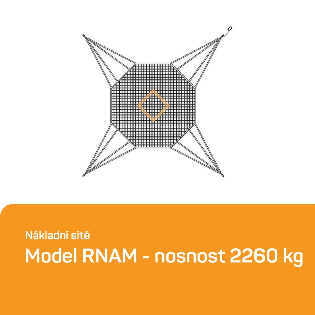 model RNAM